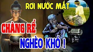 Chàng Rể Nghèo Được Báo Đáp Ân Tình Xưa - Truyện Phật Giáo Hay Ý Nghĩa - Chuyện nhân quả báo ứng