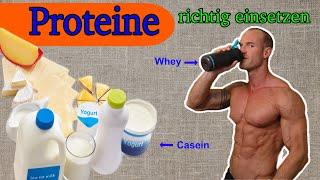 Proteine richtig einsetzen zum Muskelaufbau. Unterschied zwischen Whey und Casein. Regeneration