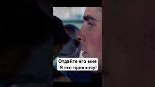 СПАС щенка от неминуемой смер… #фильмы #кино #сериал