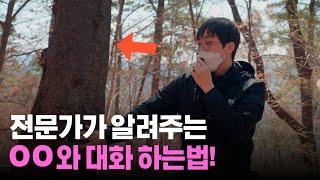 우리 주변에 가장 흔하지만 소중한 나무  그 진짜 이름은?? 힐링 숲해설 숲해설가 숲이야기 김포스