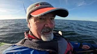 Back out to sea .