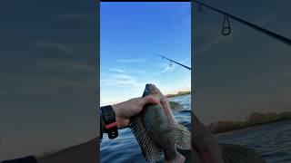 ядерная рыба на микроджиг | Ловля тиляпии на спиннинг #рыбалка #fishing #спиннинг #микроджиг #трофей