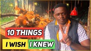 10 Things I Wish I Knew Before Starting A Poultry Farm