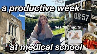 A VERY PRODUCTIVE WEEK AT MEDICAL SCHOOL | healthy habits, deadlines, active recall & cosy nights in