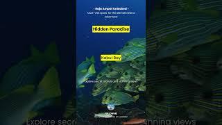 01. Raja Ampat Unlocked: Must-Visit Spots for the Ultimate Island Adventure! #travel #travelguide