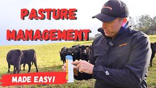 Mastering Strip Grazing: Easy Methods for Pasture Success