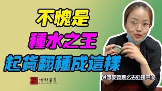 哈軒翡翠手鐲| 不愧是種水之王，起貨翻種成這樣 #翡翠手鐲#玉翡翠手鐲#天然翡翠#玉手鐲