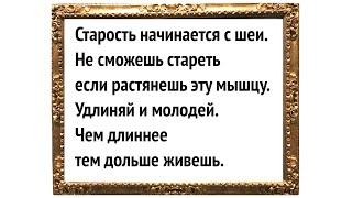 Не сможете стареть, если растянете эту мышцу. Тяните и молодейте. Чем длиннее, тем дольше живешь 