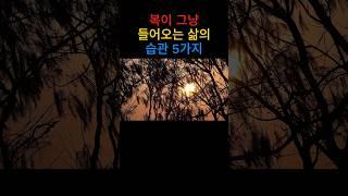 복이 그냥 들어오는 삶의 습관 5가지 #명언 #삶의지혜 #인생명언 #인생조언 #쇼츠