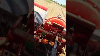 Ayçiçek ekimi Fiat 7066 part 3