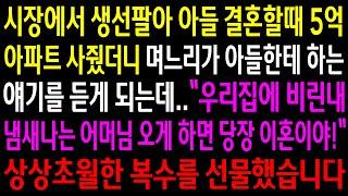 (반전사연)시장에서 생선팔아 아들 결혼할때 5억 아파트 사줬더니 며느리가 아들한테 하는 얘기를 듣게 되는데..상상초월한 한방을 선물했습니다[신청사연][사이다썰][사연라디오]