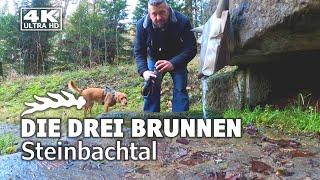 Die drei Brunnen | Bestes Trinkwasser im Steinbachtal | Althütte