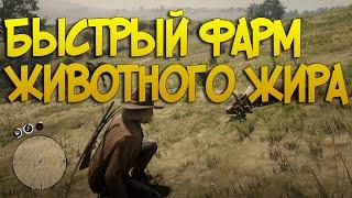 Быстрый фарм животного жира в Red Dead Online