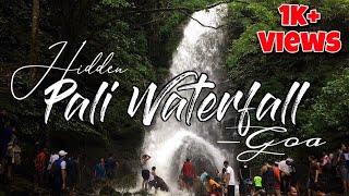 Pali Waterfall Goa | Shivling Waterfall Valpoi - Goa