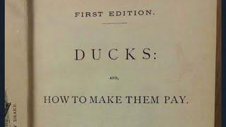 Ducks: and, how to make them pay