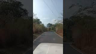 Road to Darjeeling