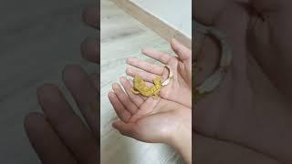 쿠쿠루삥뽕