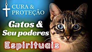 A Missão Espiritual dos Gatos Como os Gatos Protegem Você e sua Casa de Energias Negativas?