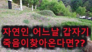 자연인 어느날갑지가 죽음이 찾아온다면 ??   어떤생각??