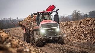 CASE IH QUADTRAC 715 - Rübenernte Extrem - Agriculture Germanyy