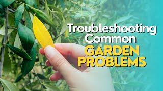 Troubleshooting Common Garden Problems