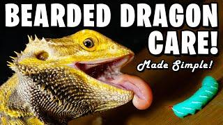 Bearded Dragon Care Made Simple!