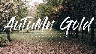 Autumn Gold | LUT Download (Sony a6300 + Zhiyun Crane)