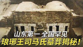 池塘下挖出山东最大规模晋墓！早夭的琅琊王尸骸 戴满金饰的冥婚女童 不料种种推测竟被全部推翻！——琅琊王司马氏家族墓特辑  | 中华国宝