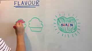 DC  Scicomp How the colour of food can affect the taste