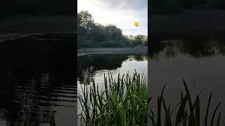 рибалка це не тільки хобі а другий подих який надає життя 