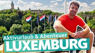 Luxembourg – hiking and sightseeing between the Moselle, Alzette and Sauer | WDR Reisen