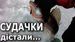 СУДАЧКИ не Дають Ловити... Ловля на Гірлянду Білої Риби Взимку. Риболовля в Україні