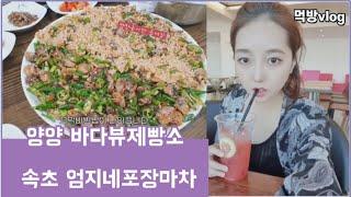 양양여행 vlog -  뷰맛집 바다뷰제빵소 & 꼬막비빔밥 엄지네 포장마차 먹방