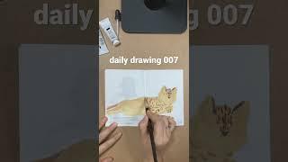 #drawing #challenge #quickdrawing #daily #cat