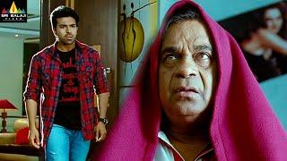 Brahmanandam & Ram Charan Comedy Scenes Back to Back | Naayak Telugu Movie Scenes |Sri Balaji Video