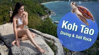 KohTao Дайвинг в деталях | Sail Rock  | FreshMania Travel