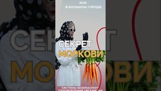 Варёная морковь: секрет витамина А  #здоровье #витамины #морковь