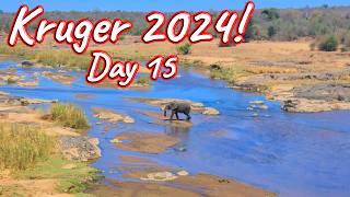 Day 15 – Kruger National Park! S1 – Ep 555