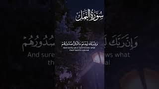 #إسلام #قران #ترتيل #تلاوة #دعاء #سعد_الغامدي #راحة_نفسية #الرسول_صلى_الله_عليه_وسلم