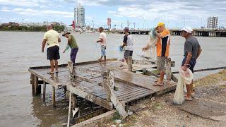 Pesca de camarões, 05-02-23, Vídeo 1, Trapiche, Tramandaí, com tarrafas de argolas (shrimpfish-Br).