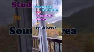 Fully Funded scholarships for undergraduate students in South Korea.  #scholarships #southkorea