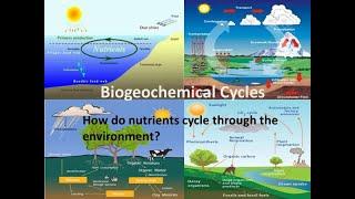 Module-1: Introduction to Biogeochemical cycles- 5 Sem B.Sc Microbiology-Environmental Microbiology