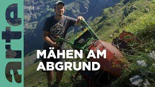 Schweiz: Tradition am Steilhang, die Wildheuer | GEO Reportage | ARTE Family