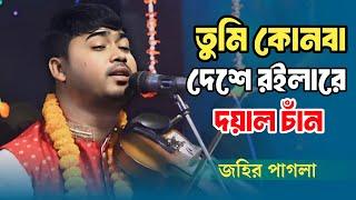 তুমি কোন বা দেশে রইলা রে দয়াল চান | জহির পাগলা | Tumi Kon Ba Deshe Roila Re Doyal | Johir Pagla