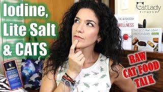 Do CATS need dietary iodine? (plus LITE SALT vs REGULAR SALT) - Raw Cat Food / Cat Lady Fitness