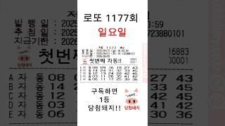 로또 1177회 일요일 첫자동!! #당첨돼지
