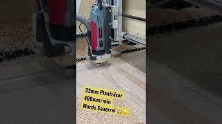 Planfräser auf der DIY Holz CNC