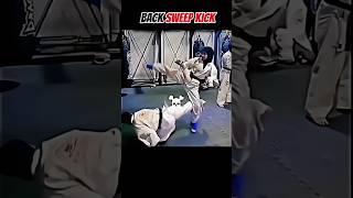Back sweep kick technique #kicktechniques #kicking #mma