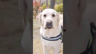 Bruno Fights an Internet Celebrity! 