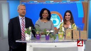 Live in the D: How herbs can you enhance your health